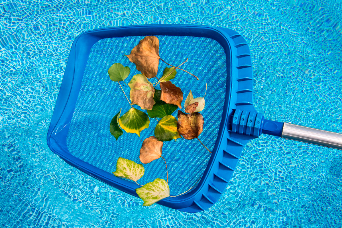 Limpieza-de-Piscinas-y-Jardines